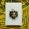 Thai Amulet - Amulets Tiger Head/ Luang Phor Pern. Enhance Power, Prestige & Fortune. Enhance Work Duties, Great Advancement. FREE: Amulet Box & 2pcs Lucky 4D Aikhai Joss-stick - Image 3