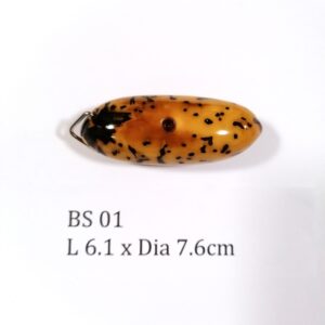 Thai Amulet – POLISHED BODHI SEED (BS 01) – POLISHED THOUSAND EYES BODHI SEED – PROMOTIONAL PRICE: S$28.00(Usual: S$35.00) – FREE (Whilst Stock Last): Micro Gold Amulet Pin, Adjustable Nylon String Necklace & Jewelry Box