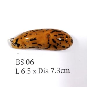 Thai Amulet – POLISHED BODHI SEED (BS 06) – POLISHED THOUSAND EYES BODHI SEED – PROMOTIONAL PRICE: S$28.00(Usual: S$35.00) – FREE (Whilst Stock Last): Micro Gold Amulet Pin, Adjustable Nylon String Necklace & Jewelry Box