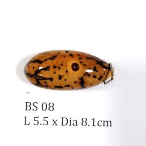 Thai Amulet – POLISHED BODHI SEED (BS 08) – POLISHED THOUSAND EYES BODHI SEED – PROMOTIONAL PRICE: S$28.00(Usual: S$35.00) – FREE (Whilst Stock Last): Micro Gold Amulet Pin, Adjustable Nylon String Necklace & Jewelry Box