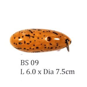 Thai Amulet – POLISHED BODHI SEED (BS 09) – POLISHED THOUSAND EYES BODHI SEED – PROMOTIONAL PRICE: S$28.00(Usual: S$35.00) – FREE (Whilst Stock Last): Micro Gold Amulet Pin, Adjustable Nylon String Necklace & Jewelry Box