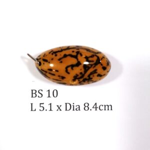 Thai Amulet – POLISHED BODHI SEED (BS 10) – POLISHED THOUSAND EYES BODHI SEED – PROMOTIONAL PRICE: S$28.00(Usual: S$35.00) – FREE (Whilst Stock Last): Micro Gold Amulet Pin, Adjustable Nylon String Necklace & Jewelry Box