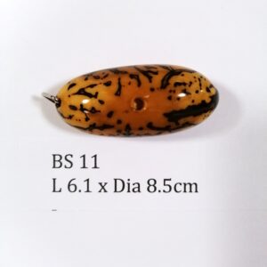 Thai Amulet – POLISHED BODHI SEED (BS 11) – POLISHED THOUSAND EYES BODHI SEED – PROMOTIONAL PRICE: S$28.00(Usual: S$35.00) – FREE (Whilst Stock Last): Micro Gold Amulet Pin, Adjustable Nylon String Necklace & Jewelry Box