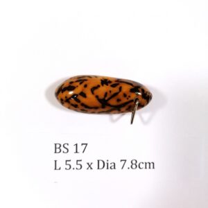 Thai Amulet – POLISHED BODHI SEED (BS 17) – POLISHED THOUSAND EYES BODHI SEED – PROMOTIONAL PRICE: S$28.00(Usual: S$35.00) – FREE (Whilst Stock Last): Micro Gold Amulet Pin, Adjustable Nylon String Necklace & Jewelry Box