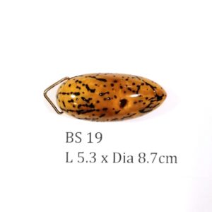 Thai Amulet – POLISHED BODHI SEED (BS 19) – POLISHED THOUSAND EYES BODHI SEED – PROMOTIONAL PRICE: S$28.00(Usual: S$35.00) – FREE (Whilst Stock Last): Micro Gold Amulet Pin, Adjustable Nylon String Necklace & Jewelry Box