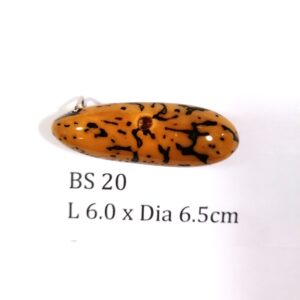 Thai Amulet – POLISHED BODHI SEED (BS 20) – POLISHED THOUSAND EYES BODHI SEED – PROMOTIONAL PRICE: S$28.00(Usual: S$35.00) – FREE (Whilst Stock Last): Micro Gold Amulet Pin, Adjustable Nylon String Necklace & Jewelry Box