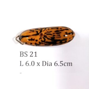 Thai Amulet – POLISHED BODHI SEED (BS 21) – POLISHED THOUSAND EYES BODHI SEED – PROMOTIONAL PRICE: S$28.00(Usual: S$35.00) – FREE (Whilst Stock Last): Micro Gold Amulet Pin, Adjustable Nylon String Necklace & Jewelry Box