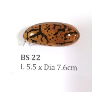 Thai Amulet – POLISHED BODHI SEED (BS 22) – POLISHED THOUSAND EYES BODHI SEED – PROMOTIONAL PRICE: S$28.00(Usual: S$35.00) – FREE (Whilst Stock Last): Micro Gold Amulet Pin, Adjustable Nylon String Necklace & Jewelry Box