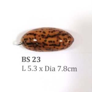 Thai Amulet – POLISHED BODHI SEED (BS 23) – POLISHED THOUSAND EYES BODHI SEED – PROMOTIONAL PRICE: S$28.00(Usual: S$35.00) – FREE (Whilst Stock Last): Micro Gold Amulet Pin, Adjustable Nylon String Necklace & Jewelry Box