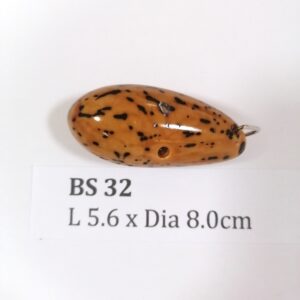 Thai Amulet – POLISHED BODHI SEED (BS 32) – POLISHED THOUSAND EYES BODHI SEED – PROMOTIONAL PRICE: S$28.00(Usual: S$35.00) – FREE (Whilst Stock Last): Micro Gold Amulet Pin, Adjustable Nylon String Necklace & Jewelry Box