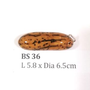 Thai Amulet – POLISHED BODHI SEED (BS 36) – POLISHED THOUSAND EYES BODHI SEED – PROMOTIONAL PRICE: S$28.00(Usual: S$35.00) – FREE (Whilst Stock Last): Micro Gold Amulet Pin, Adjustable Nylon String Necklace & Jewelry Box