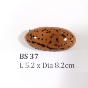 Thai Amulet – POLISHED BODHI SEED (BS 37) – POLISHED THOUSAND EYES BODHI SEED – PROMOTIONAL PRICE: S$28.00(Usual: S$35.00) – FREE (Whilst Stock Last): Micro Gold Amulet Pin, Adjustable Nylon String Necklace & Jewelry Box