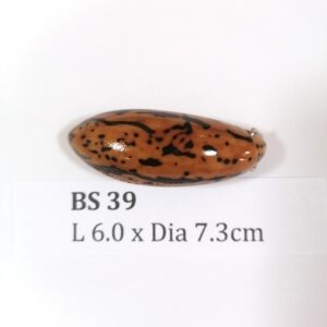 Thai Amulet – POLISHED BODHI SEED (BS 39) – POLISHED THOUSAND EYES BODHI SEED – PROMOTIONAL PRICE: S$28.00(Usual: S$35.00) – FREE (Whilst Stock Last): Micro Gold Amulet Pin, Adjustable Nylon String Necklace & Jewelry Box