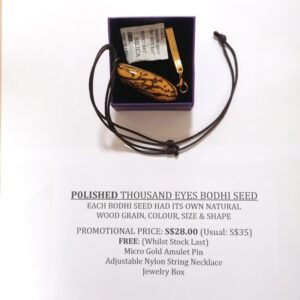Thousand Eyes Bodhi Seed (A)