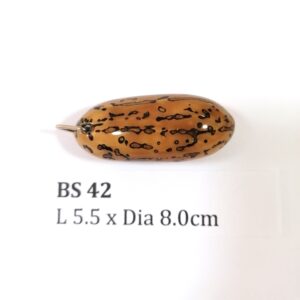 Thai Amulet – POLISHED BODHI SEED (BS 42) – POLISHED THOUSAND EYES BODHI SEED – PROMOTIONAL PRICE: S$28.00(Usual: S$35.00) – FREE (Whilst Stock Last): Micro Gold Amulet Pin, Adjustable Nylon String Necklace & Jewelry Box