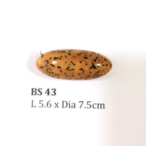 Thai Amulet – POLISHED BODHI SEED (BS 43) – POLISHED THOUSAND EYES BODHI SEED – PROMOTIONAL PRICE: S$28.00(Usual: S$35.00) – FREE (Whilst Stock Last): Micro Gold Amulet Pin, Adjustable Nylon String Necklace & Jewelry Box