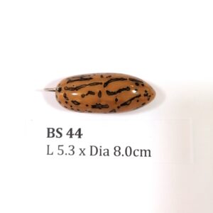 Thai Amulet – POLISHED BODHI SEED (BS 44) – POLISHED THOUSAND EYES BODHI SEED – PROMOTIONAL PRICE: S$28.00(Usual: S$35.00) – FREE (Whilst Stock Last): Micro Gold Amulet Pin, Adjustable Nylon String Necklace & Jewelry Box