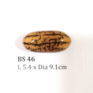 Thai Amulet – POLISHED BODHI SEED (BS 46) – POLISHED THOUSAND EYES BODHI SEED – PROMOTIONAL PRICE: S$28.00(Usual: S$35.00) – FREE (Whilst Stock Last): Micro Gold Amulet Pin, Adjustable Nylon String Necklace & Jewelry Box