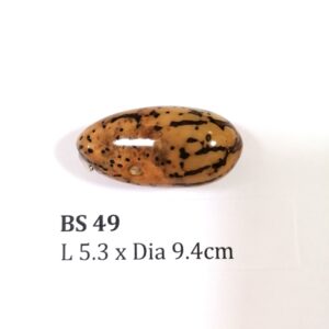 Thai Amulet – POLISHED BODHI SEED (BS 49) – POLISHED THOUSAND EYES BODHI SEED – PROMOTIONAL PRICE: S$28.00(Usual: S$35.00) – FREE (Whilst Stock Last): Micro Gold Amulet Pin, Adjustable Nylon String Necklace & Jewelry Box