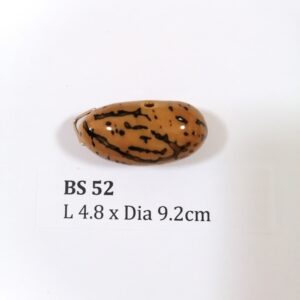 Thai Amulet – POLISHED BODHI SEED (BS 52) – POLISHED THOUSAND EYES BODHI SEED – PROMOTIONAL PRICE: S$28.00(Usual: S$35.00) – FREE (Whilst Stock Last): Micro Gold Amulet Pin, Adjustable Nylon String Necklace & Jewelry Box