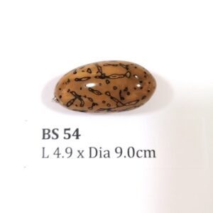 Thai Amulet – POLISHED BODHI SEED (BS 54) – POLISHED THOUSAND EYES BODHI SEED – PROMOTIONAL PRICE: S$28.00(Usual: S$35.00) – FREE (Whilst Stock Last): Micro Gold Amulet Pin, Adjustable Nylon String Necklace & Jewelry Box