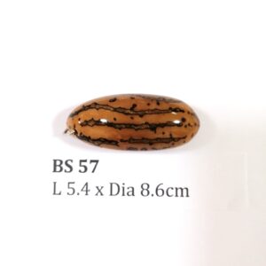 Thai Amulet – POLISHED BODHI SEED (BS 57) – POLISHED THOUSAND EYES BODHI SEED – PROMOTIONAL PRICE: S$28.00(Usual: S$35.00) – FREE (Whilst Stock Last): Micro Gold Amulet Pin, Adjustable Nylon String Necklace & Jewelry Box