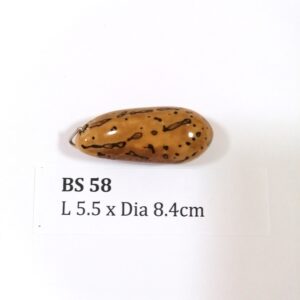 Thai Amulet – POLISHED BODHI SEED (BS 58) – POLISHED THOUSAND EYES BODHI SEED – PROMOTIONAL PRICE: S$28.00(Usual: S$35.00) – FREE (Whilst Stock Last): Micro Gold Amulet Pin, Adjustable Nylon String Necklace & Jewelry Box