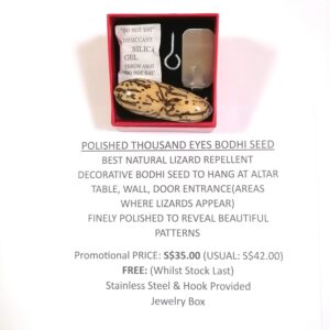 Thousand Eyes Bodhi Seed (B)